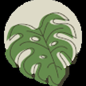 Meet your Posher, Shanette